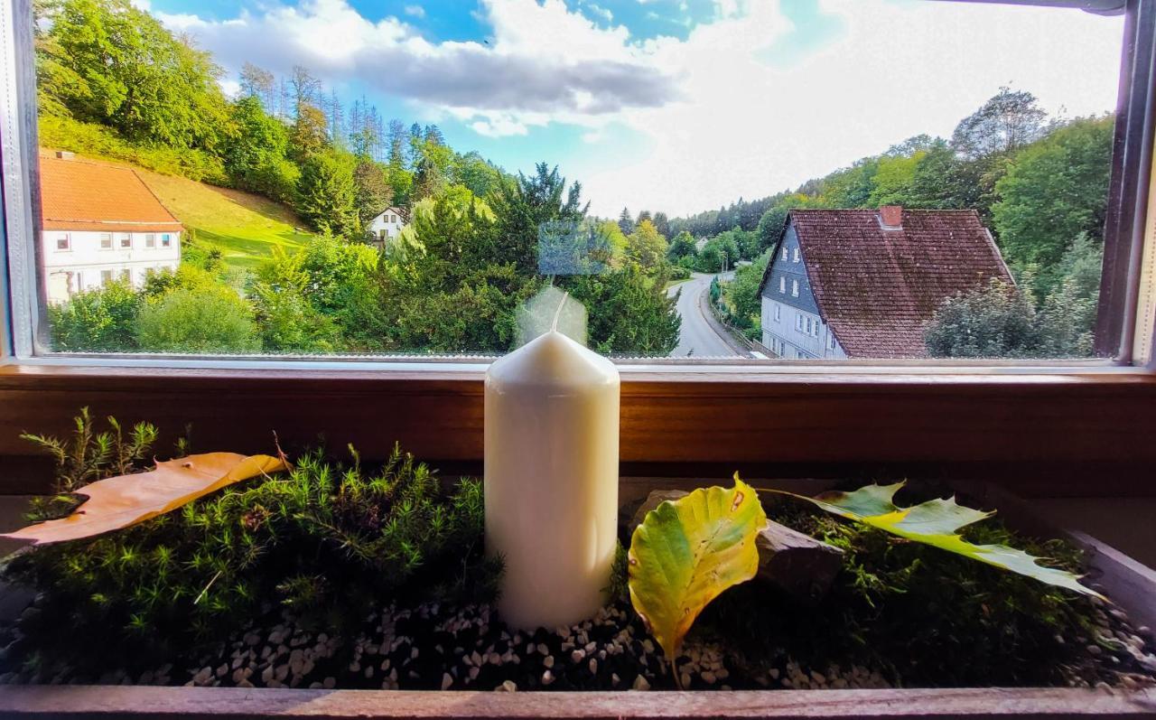 Gemuetliche Ferienwohnung Im Harz Bad Grund Extérieur photo